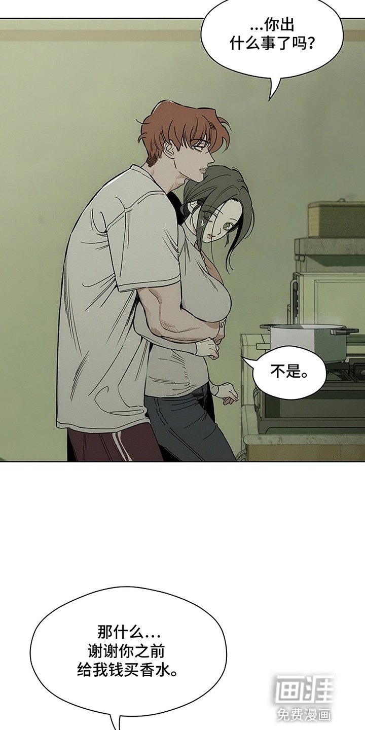 第28章：反常