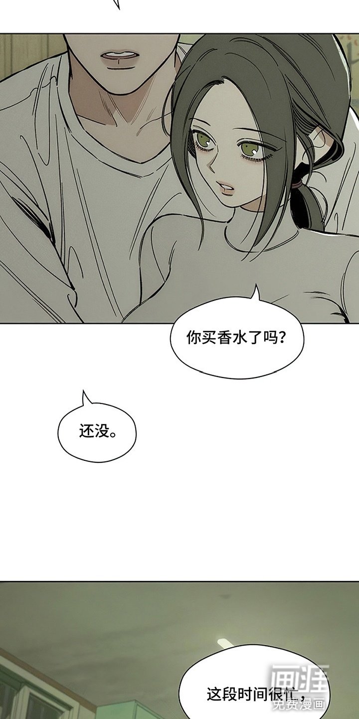 第28章：反常