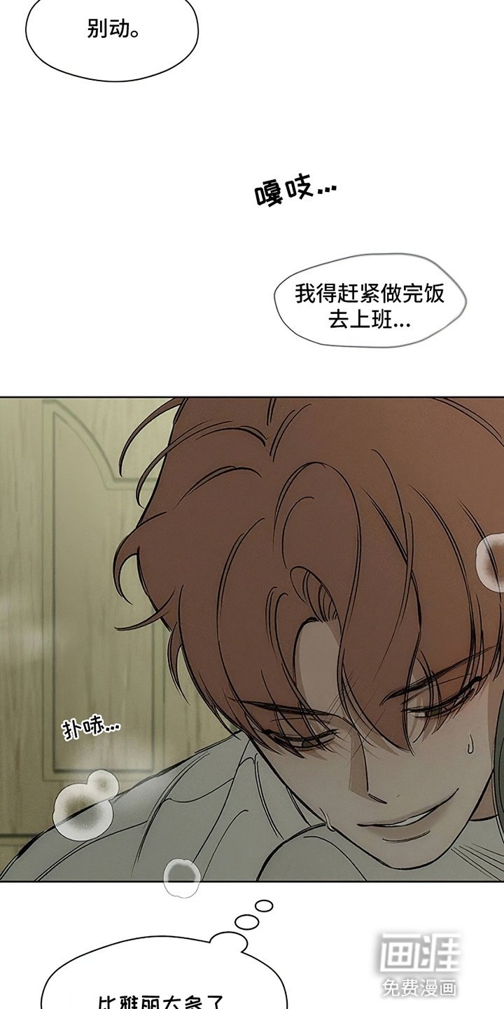第28章：反常