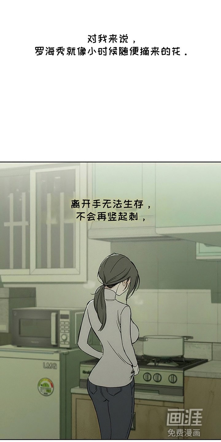 第29章：无趣