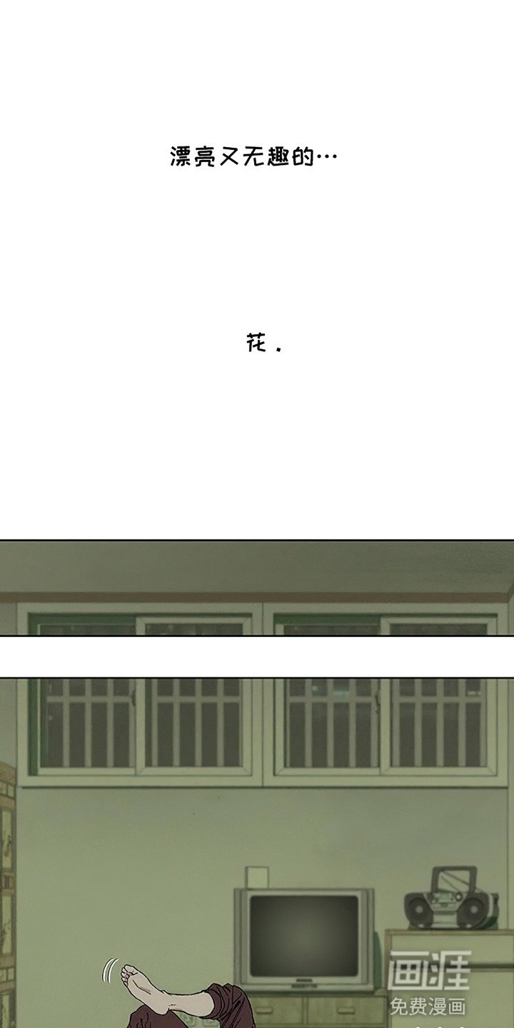 第29章：无趣