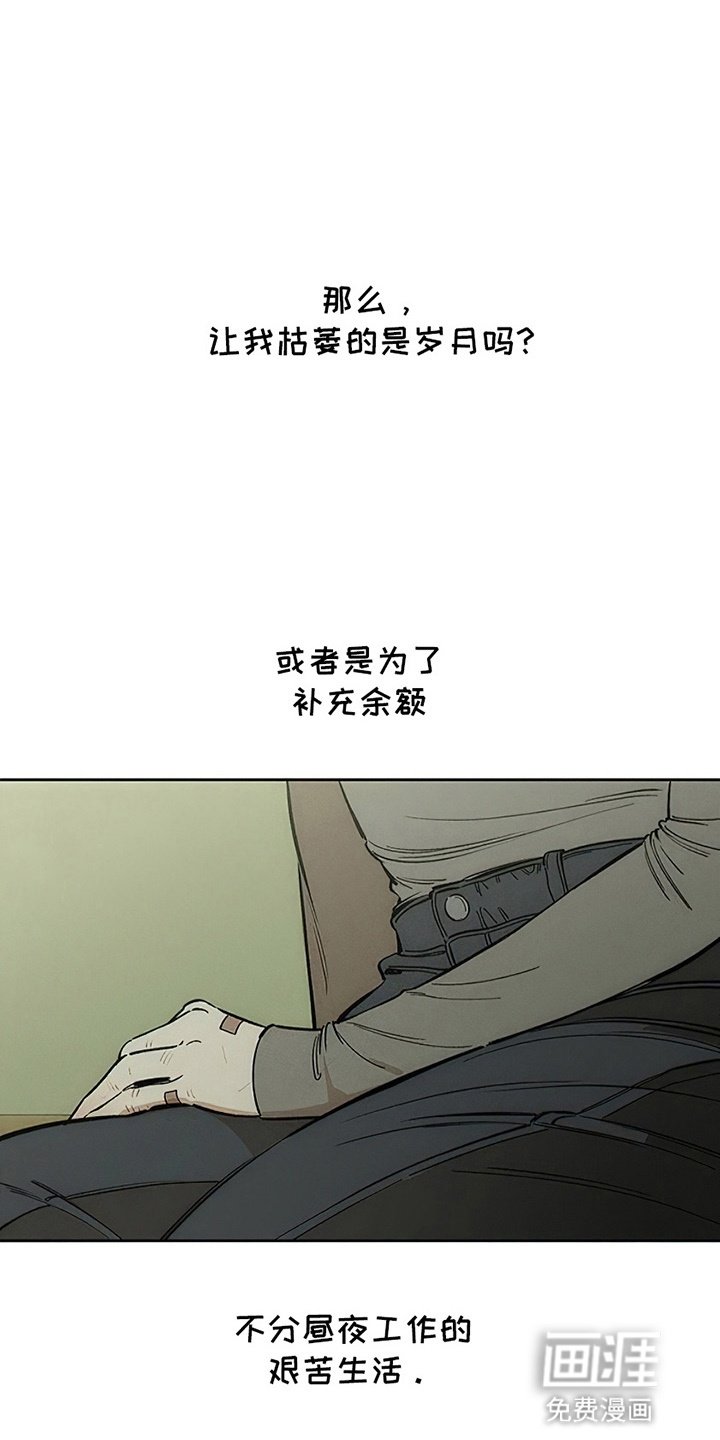 第3章：爱已经失去光芒