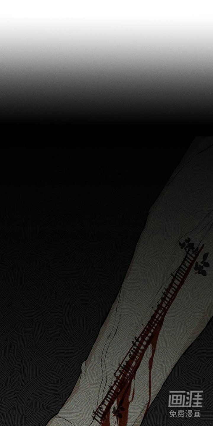 第37章：奇怪的人