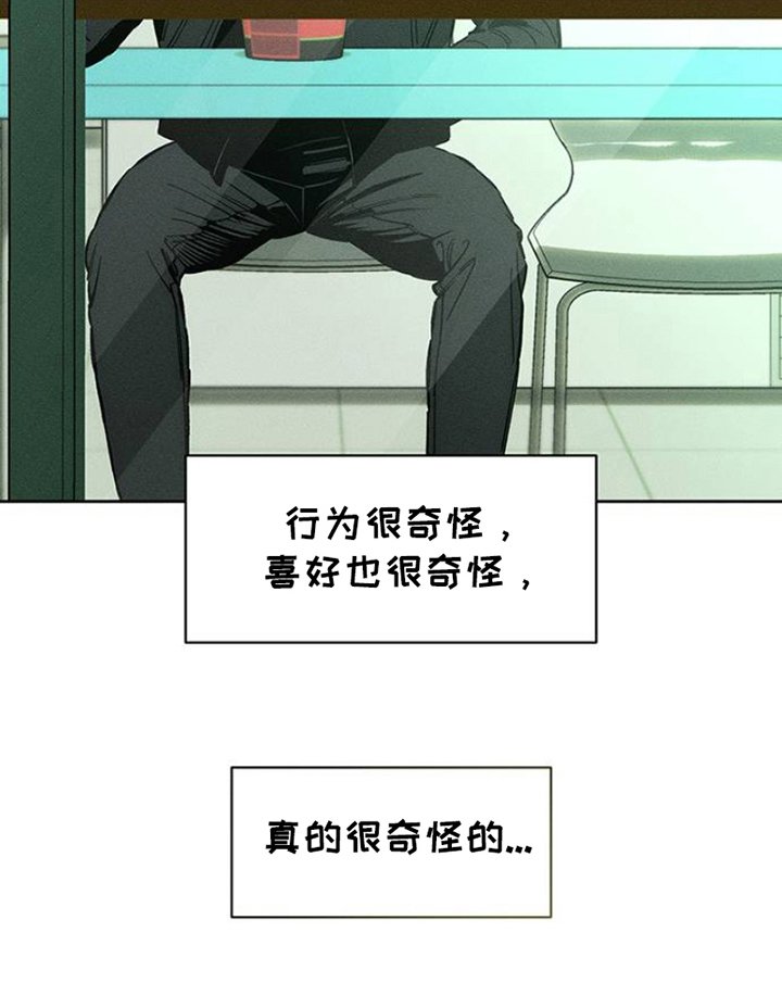 第37章：奇怪的人