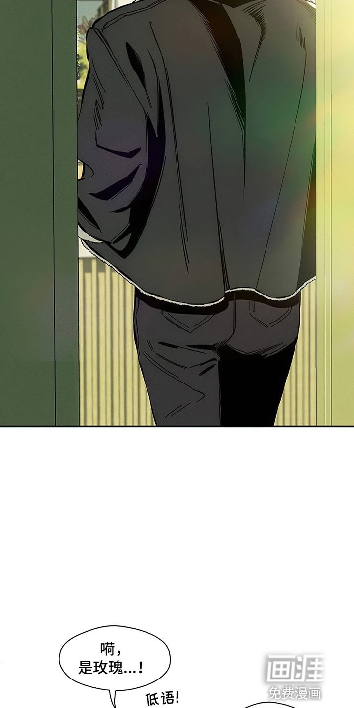 第4章：玫瑰
