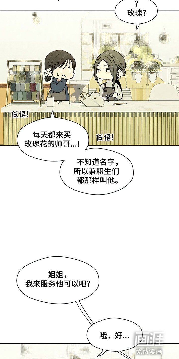 第4章：玫瑰