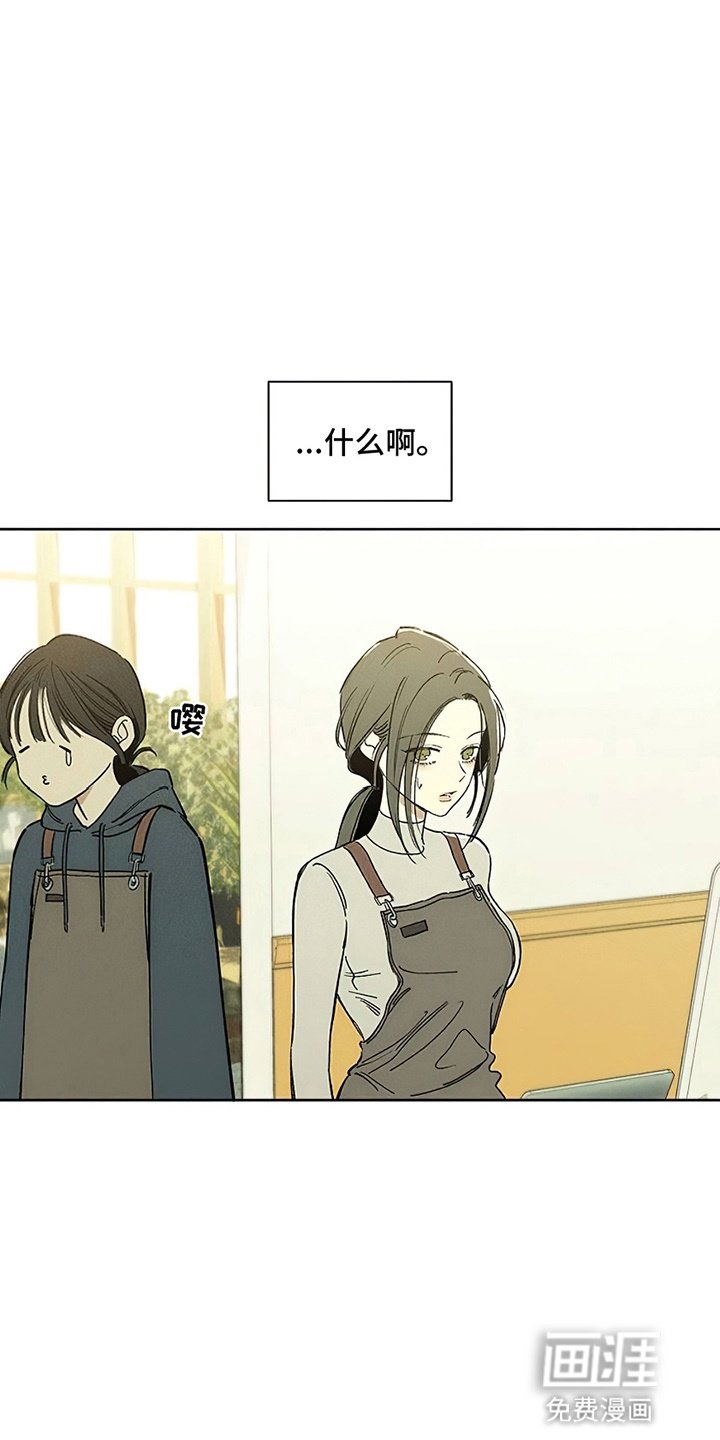 第4章：玫瑰