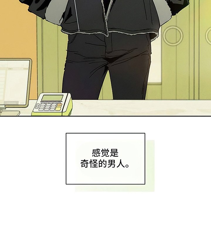 第4章：玫瑰