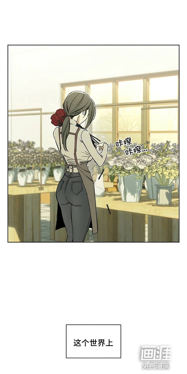 第4章：玫瑰
