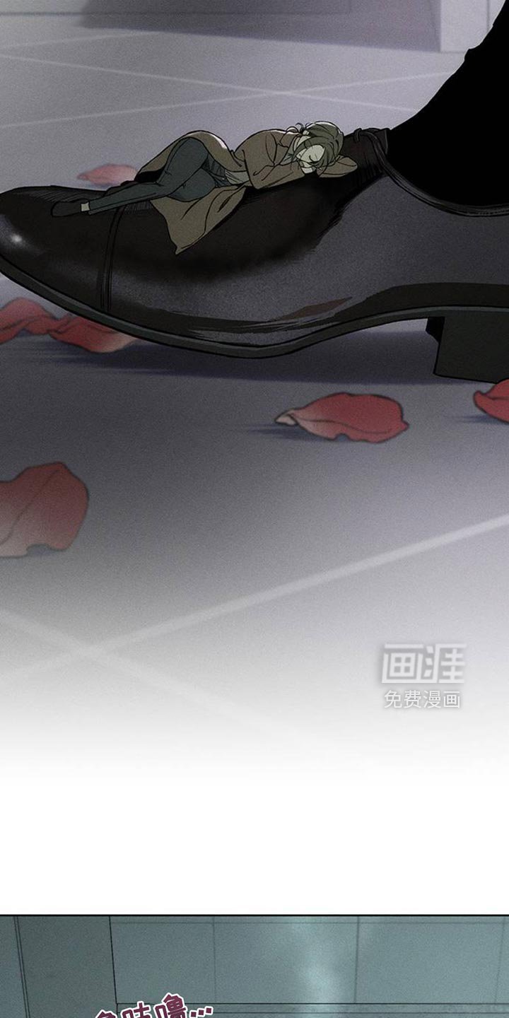 第47章：现在有点着急