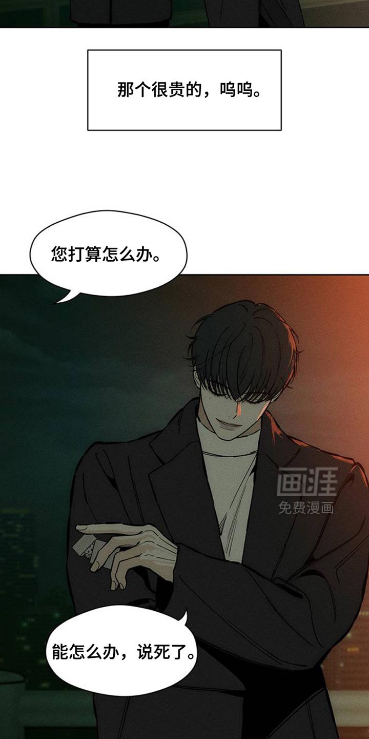 第56章：回来了