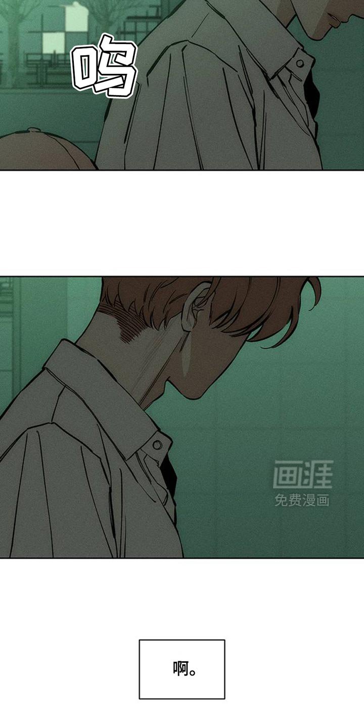 第56章：回来了