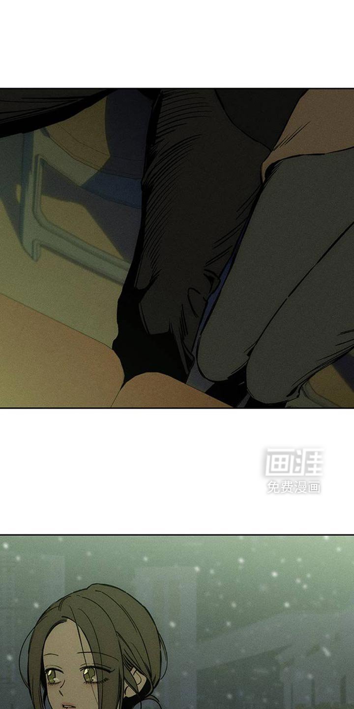 第71章：灿烂时期