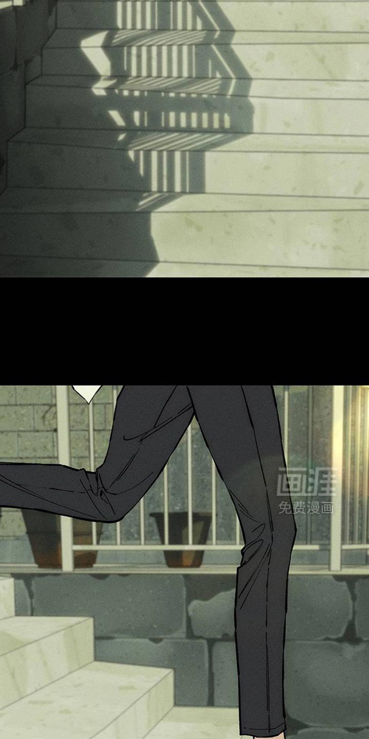 第71章：灿烂时期