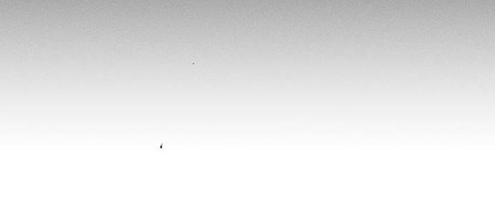 第73章：真是可惜