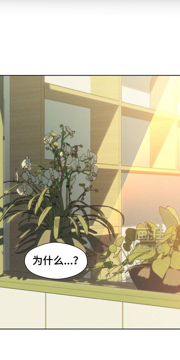 第84章：不单纯的意图
