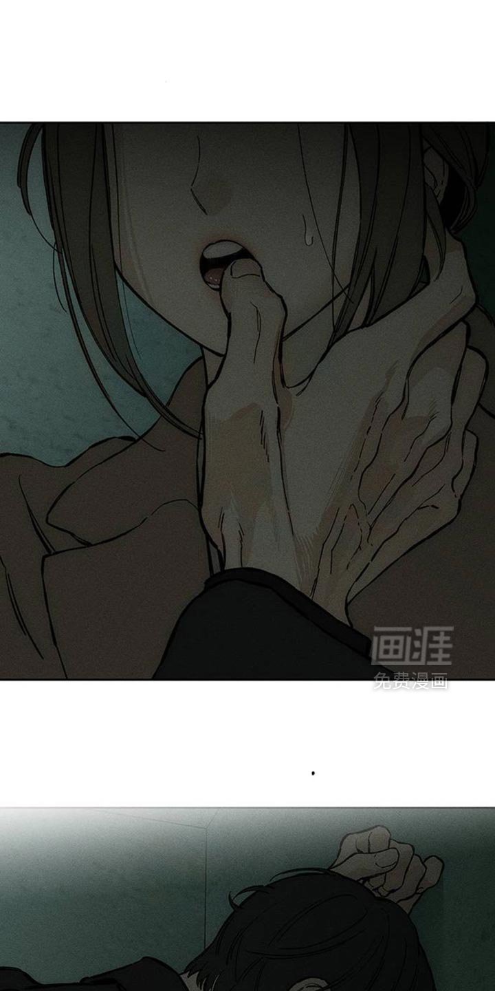 第86章：是要伤害你