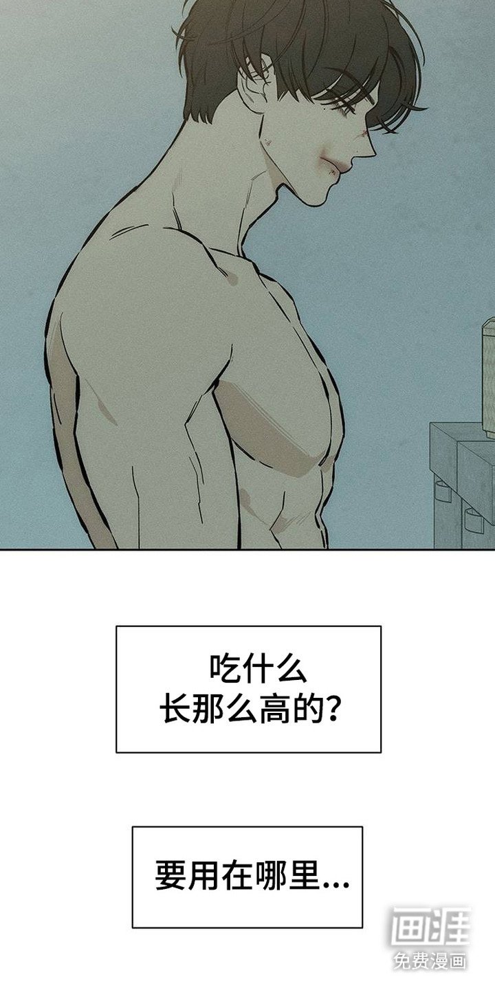 第98章：下厨