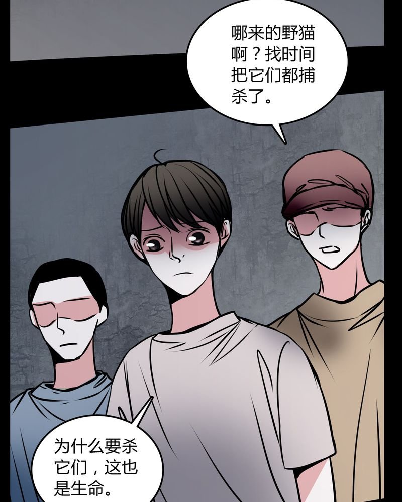 第58章：孩子是谁的？