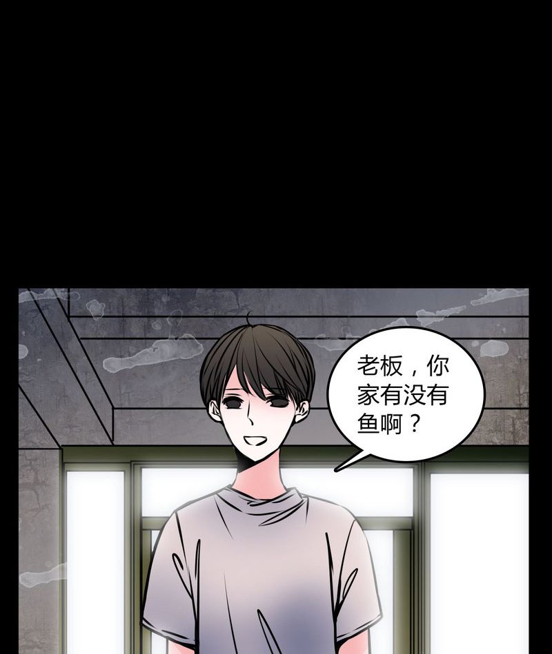 第59章：流浪猫