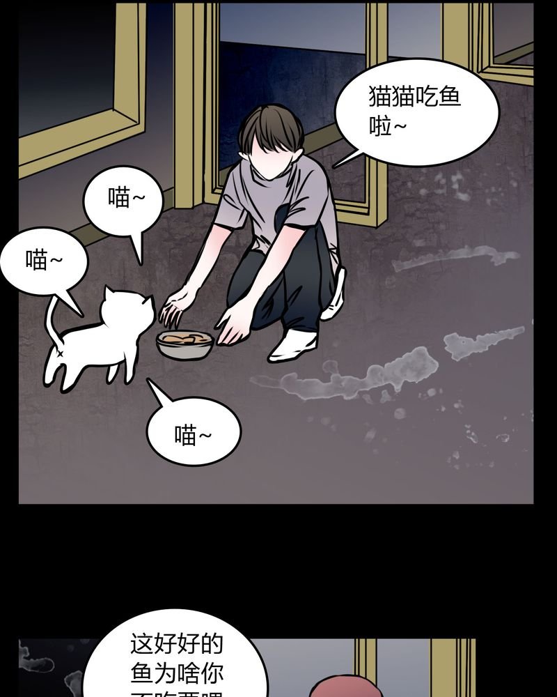 第59章：流浪猫