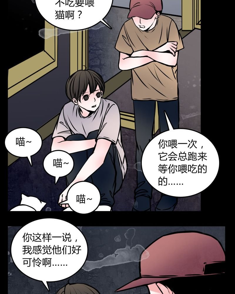 第59章：流浪猫