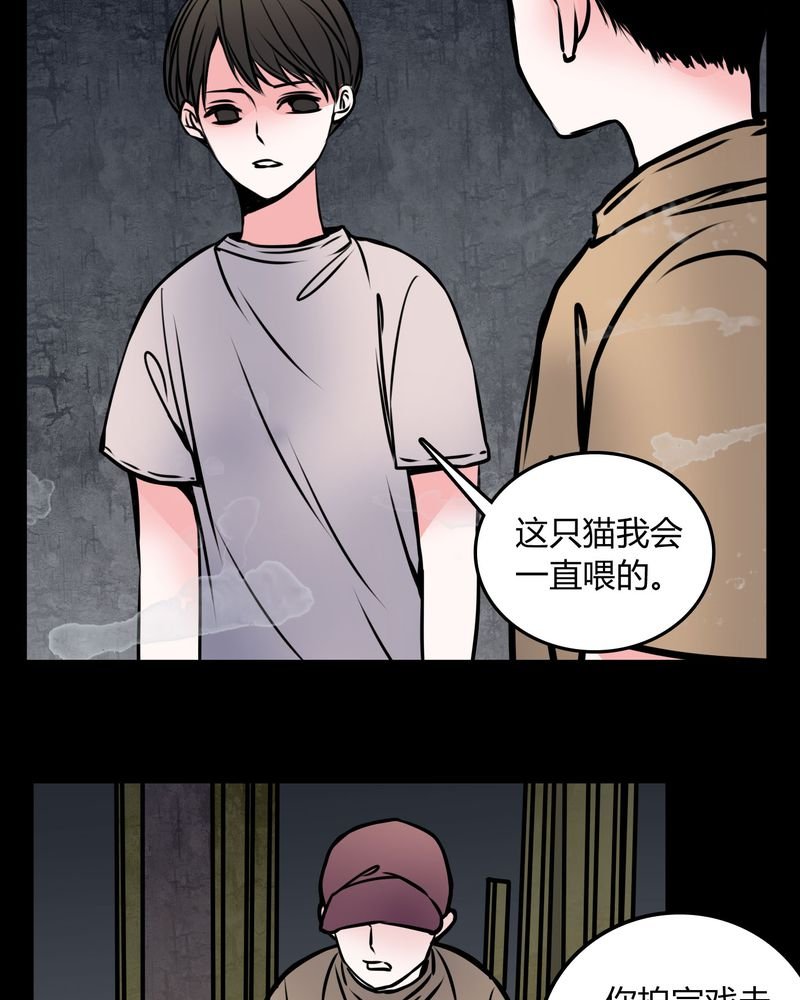 第59章：流浪猫
