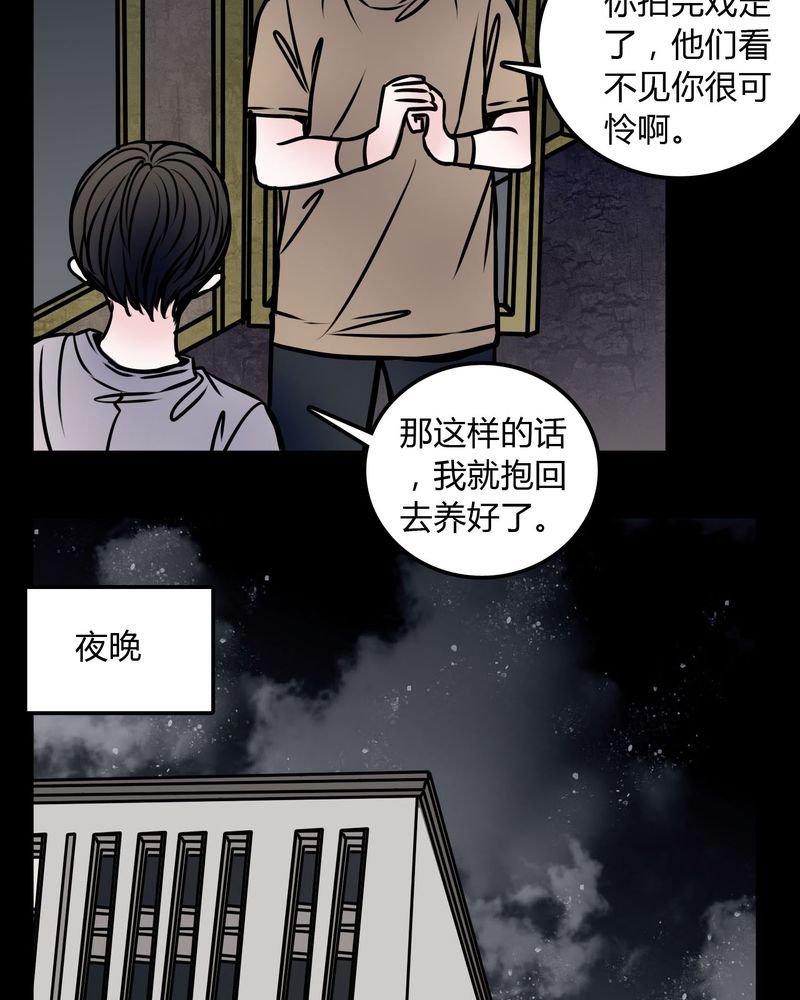 第59章：流浪猫
