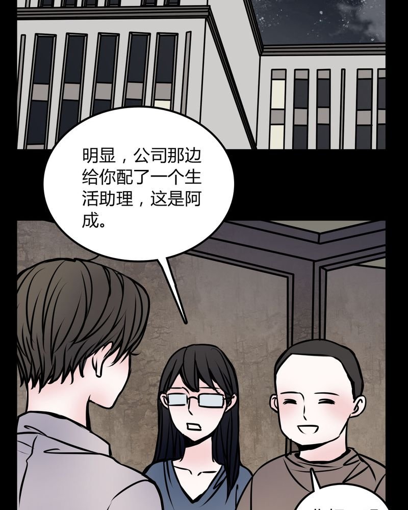 第59章：流浪猫