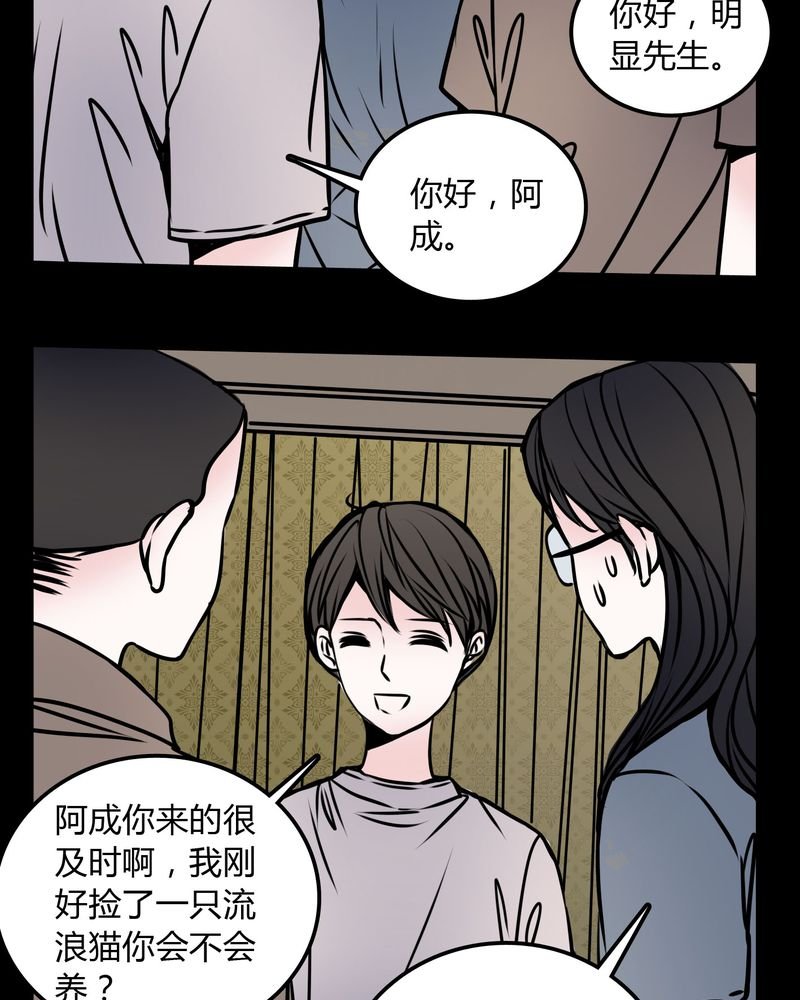 第59章：流浪猫