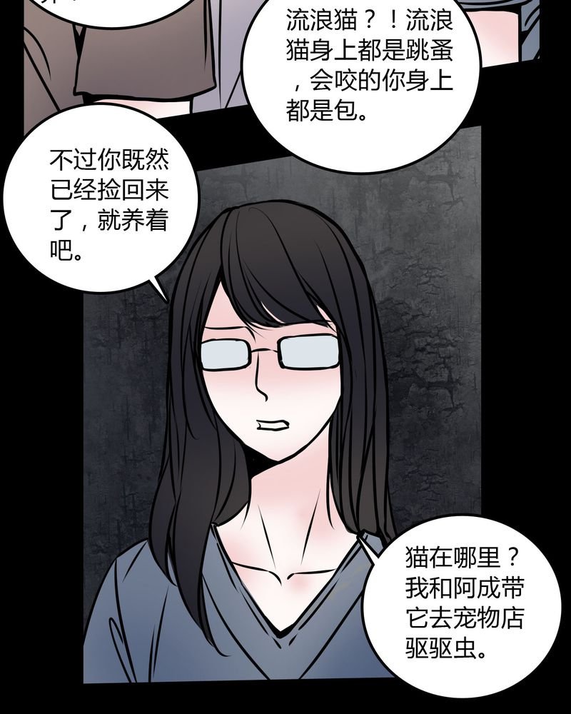 第59章：流浪猫