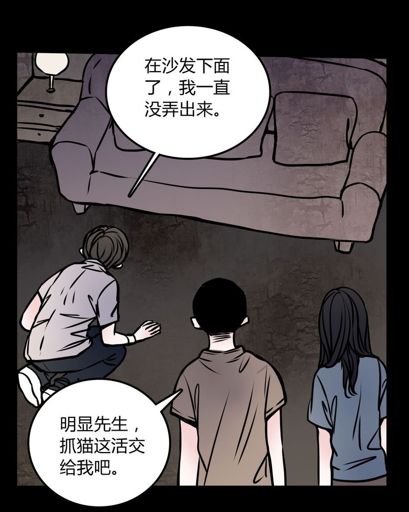 第59章：流浪猫