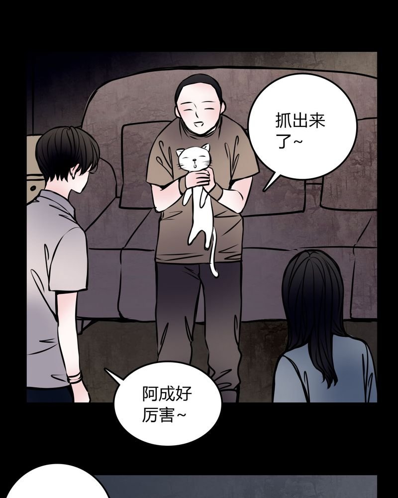第59章：流浪猫