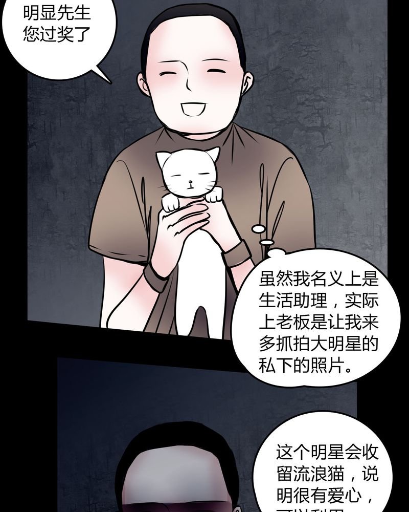 第59章：流浪猫