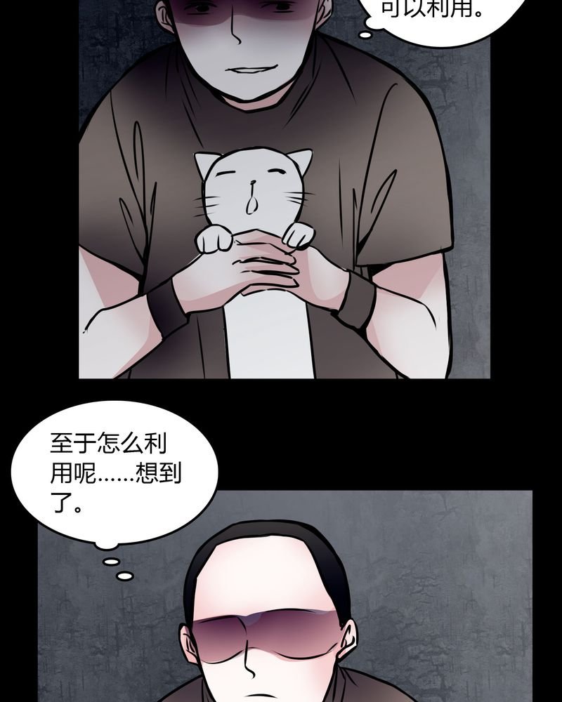 第59章：流浪猫