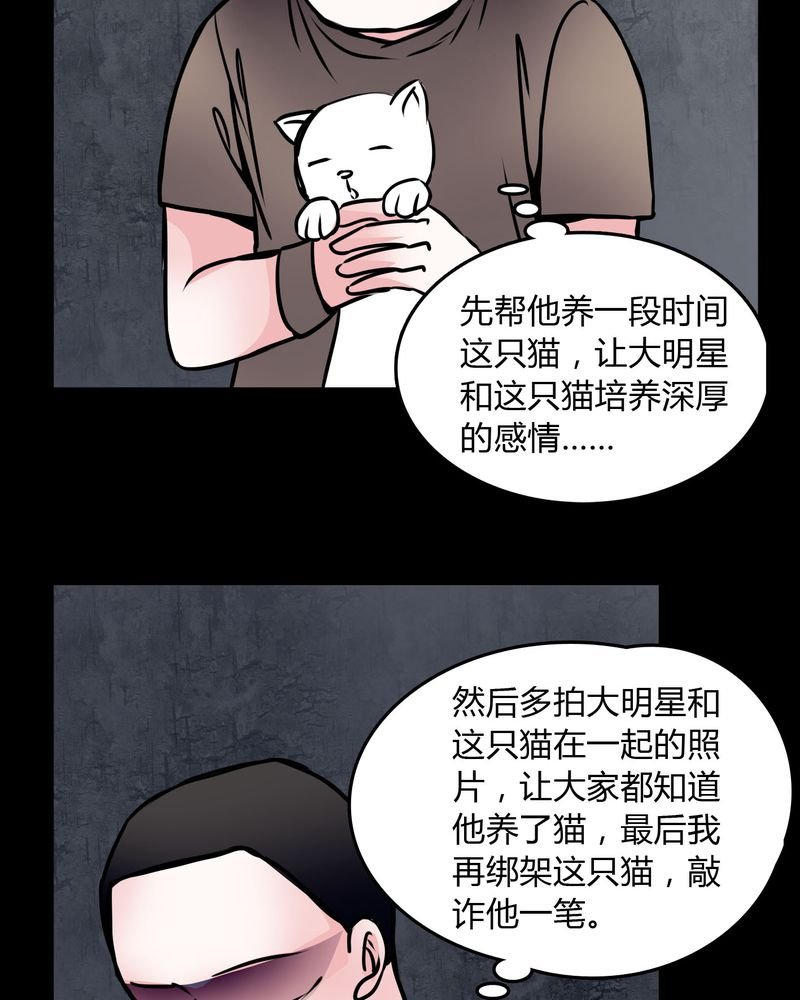 第59章：流浪猫