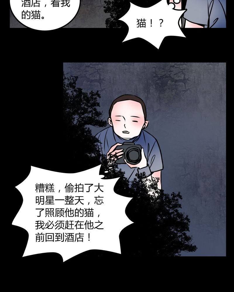 第59章：流浪猫