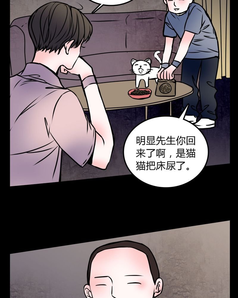 第59章：流浪猫