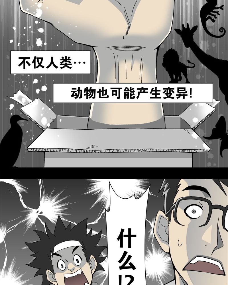 第14章：黑暗前的黎明