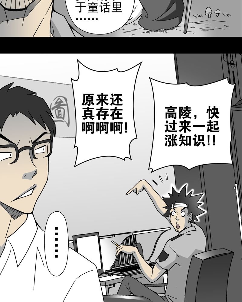 第14章：黑暗前的黎明