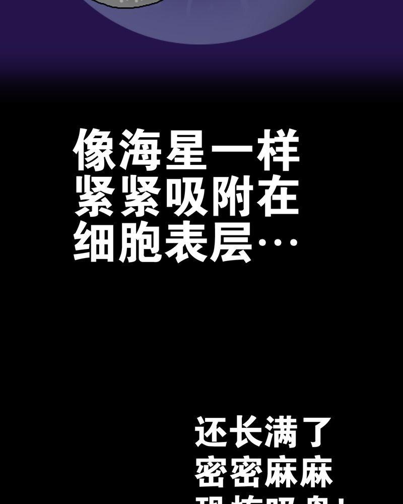 第15章：狗血