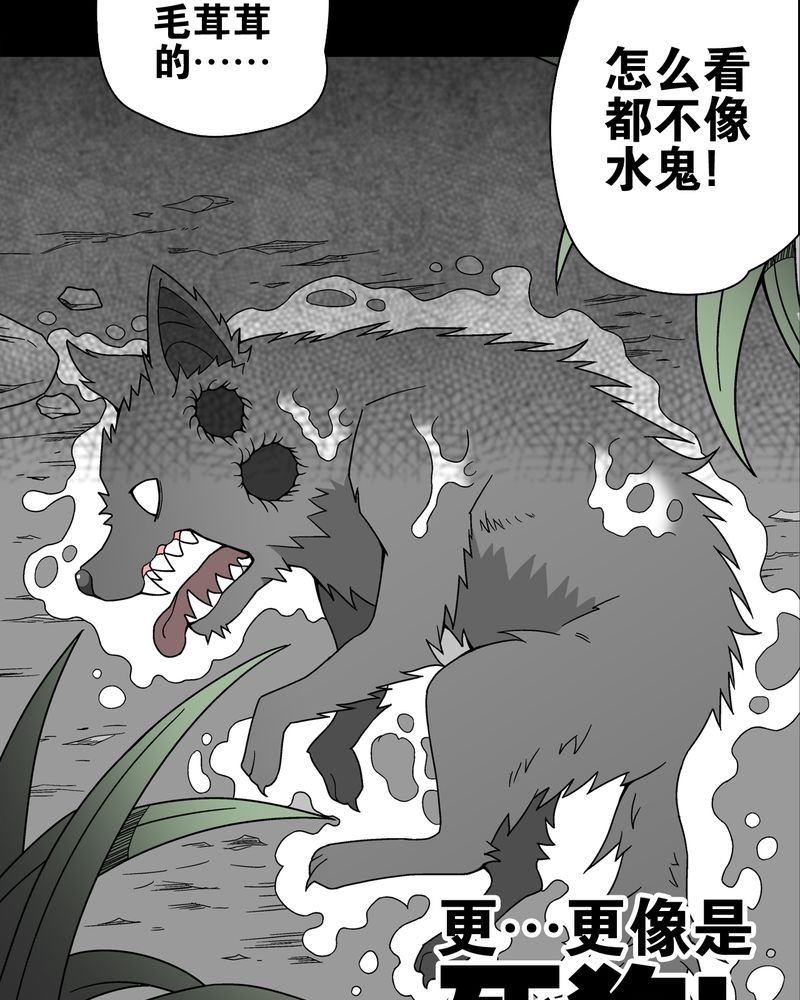 第16章：比目鱼阿强