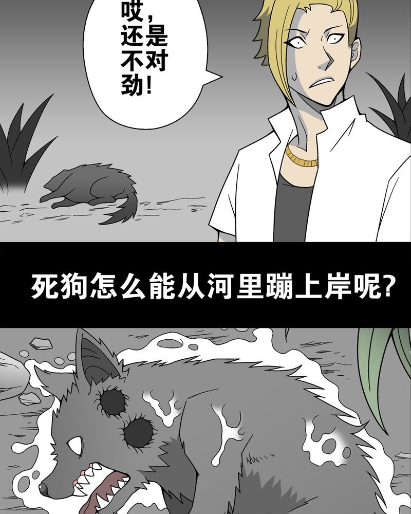 第16章：比目鱼阿强