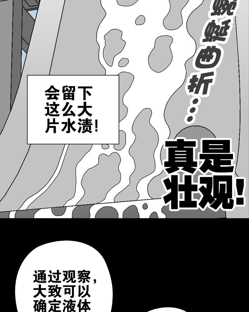 第19章：白眼狐