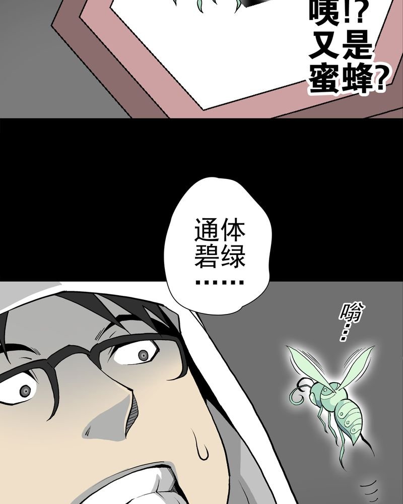第27章：复活的条件