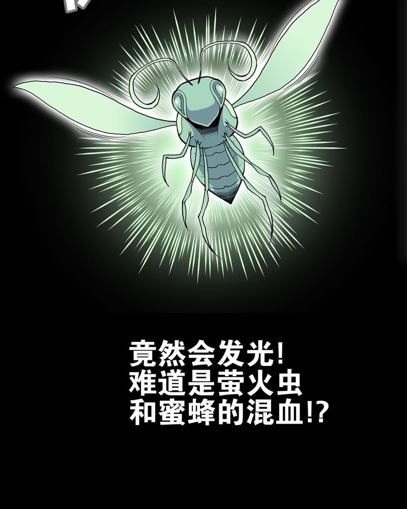 第27章：复活的条件