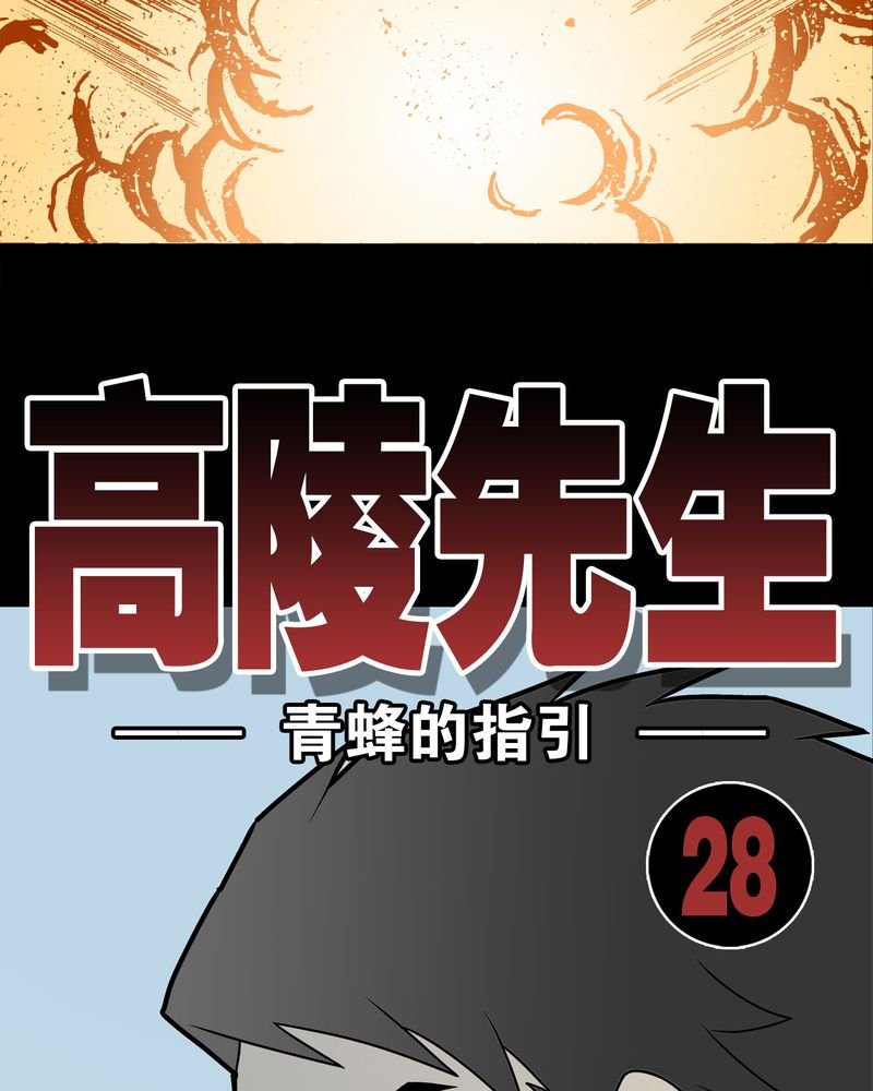 第28章：青峰的指引