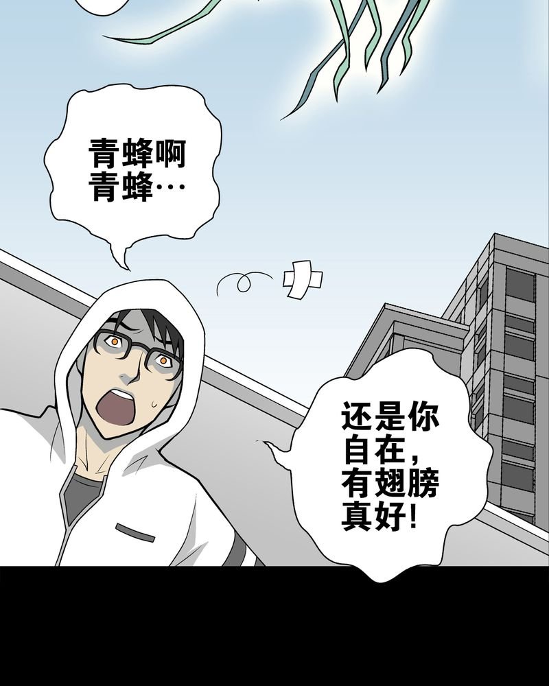 第28章：青峰的指引