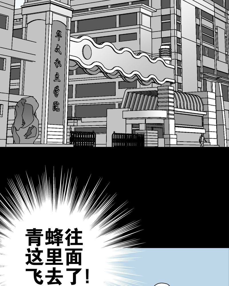 第28章：青峰的指引