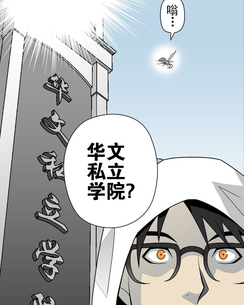 第28章：青峰的指引